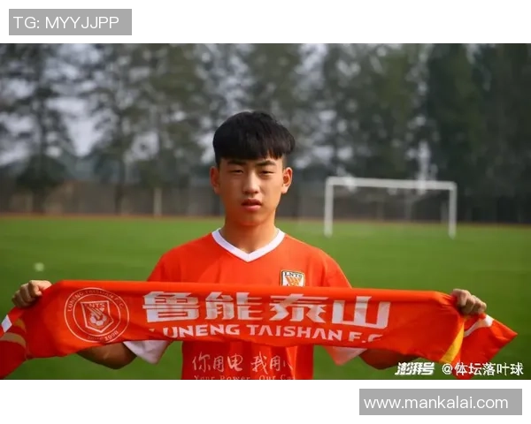 南京羽毛球队以79分领跑精英赛积分榜展现强劲实力